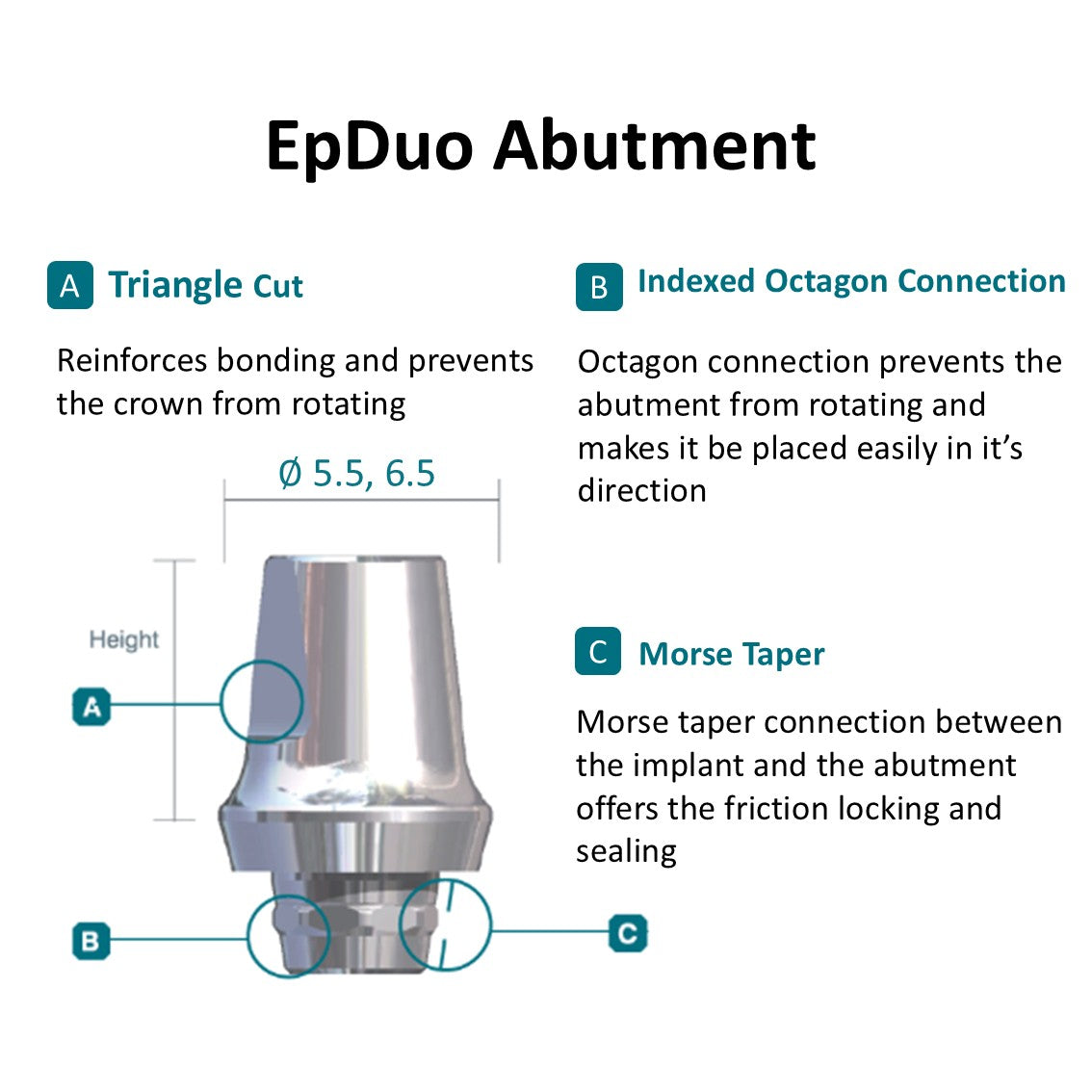 [Tissue Level Precision] EpDuo Abutment_Neck Diameter 4.8 Octa
