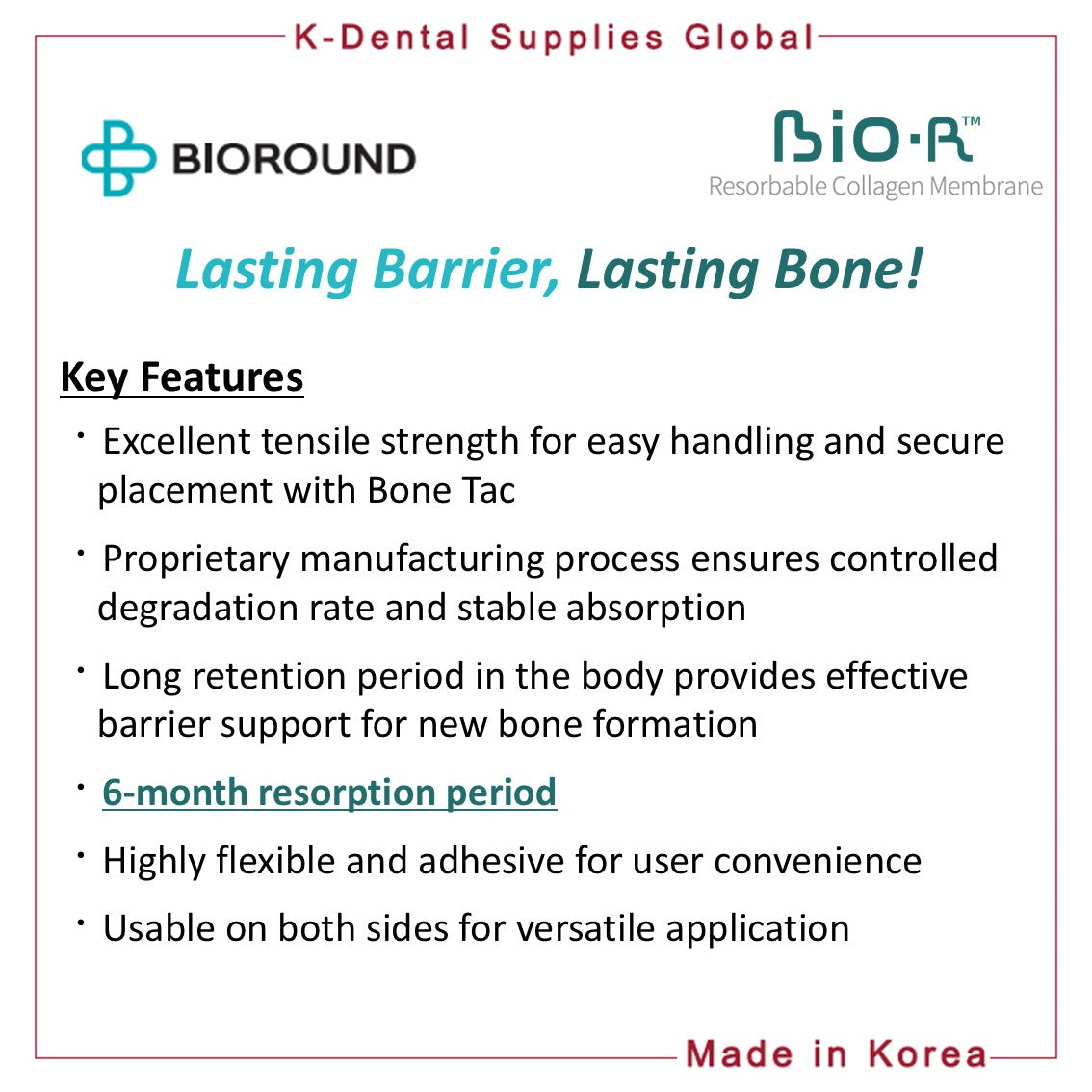 BIO-R Resorbable Collagen Membrane 4 Sizes
