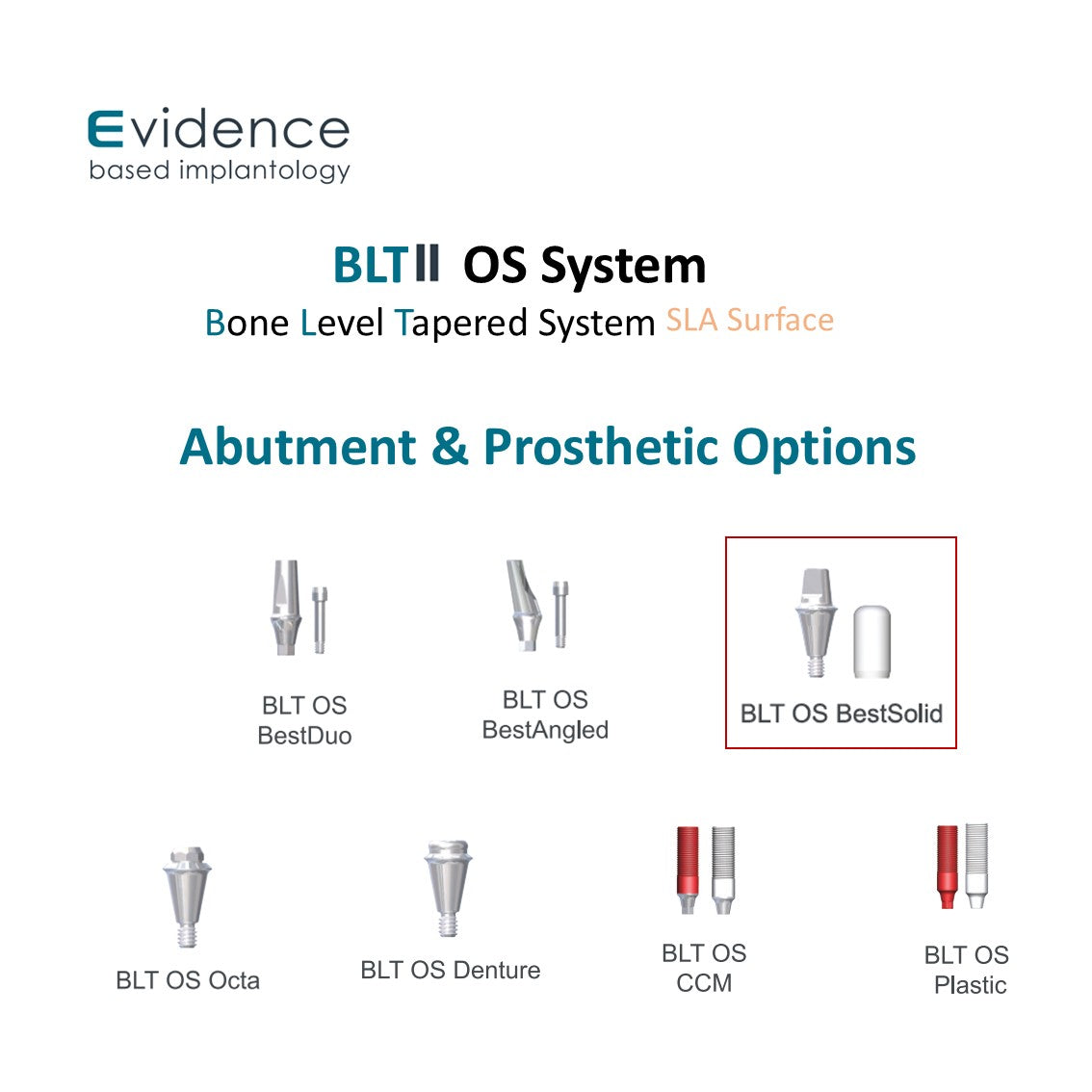 [Bone Level Tapered] BestSolid Abutment Diameter 3.5/4.0/4.8/5.5/6.5