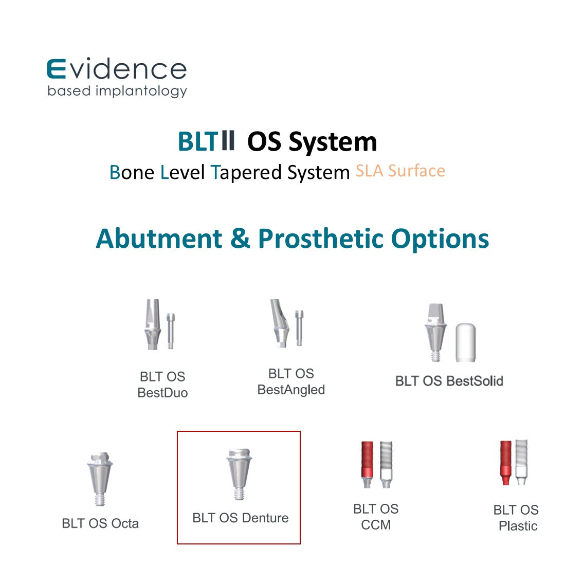 [Bone Level Tapered] Denture Abutment