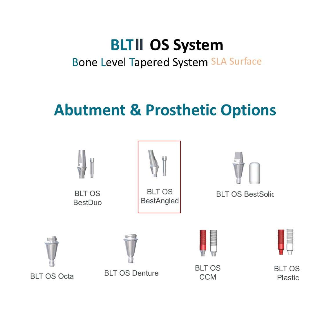 [Bone Level Tapered] BestAngled Abutment Mini/Regular Size, 15º/25º Angle