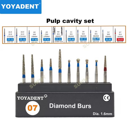 Dental Diamond Strawberries Burs Kit Polishing Tools for High Speed 10pcs/Box