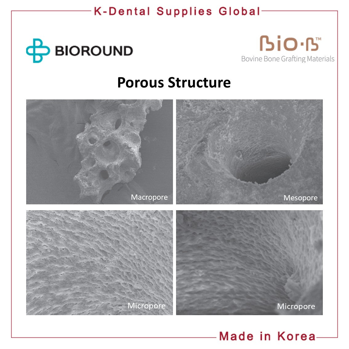 BIO-B Bovine Bone Grafting Materials Vial Small/Large Particle Size Weight 5 types